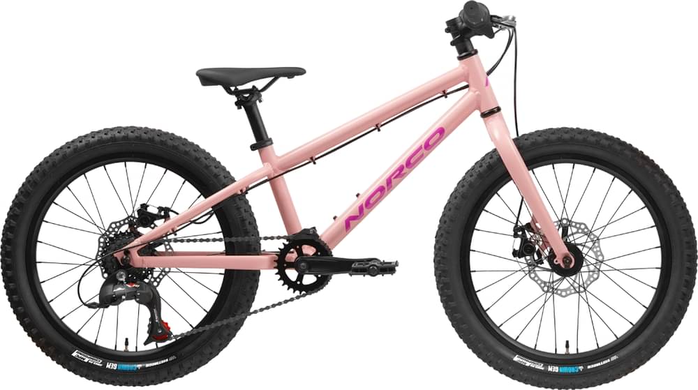 Norco Storm 20 Disc