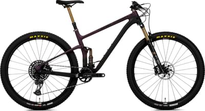 Ns Synonym TR1