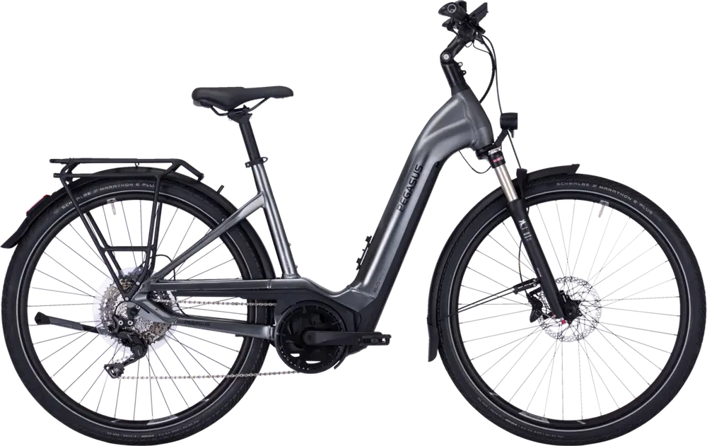 Pegasus Premio Evo 10