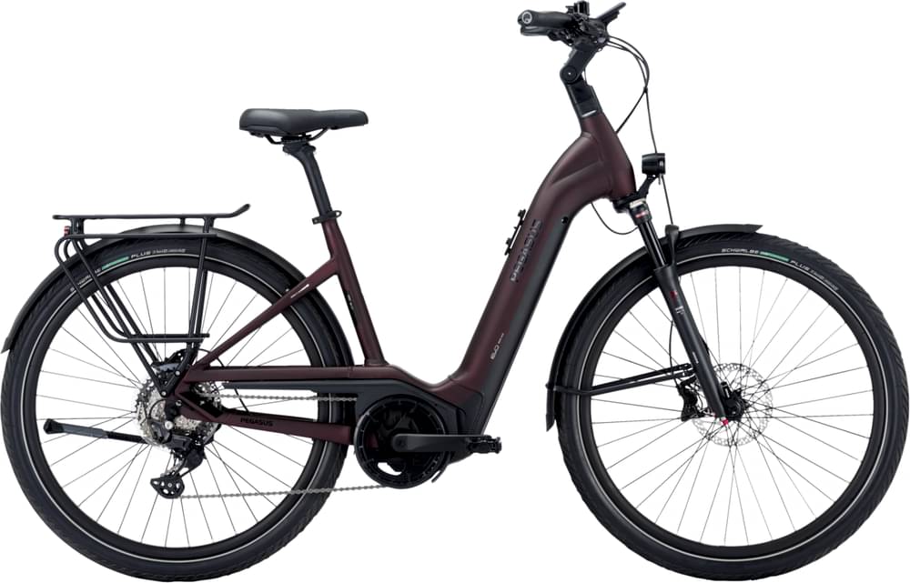 PEGASUS Strong EVO 10 Lite Wave