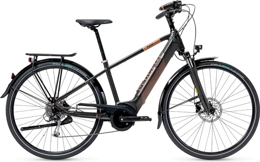 Peugeot eT01 D9 PowerTube