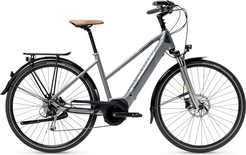 Peugeot eT01 D9 Mixt PowerTube