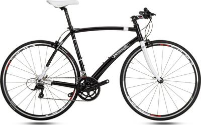 Pinarello TREVISO