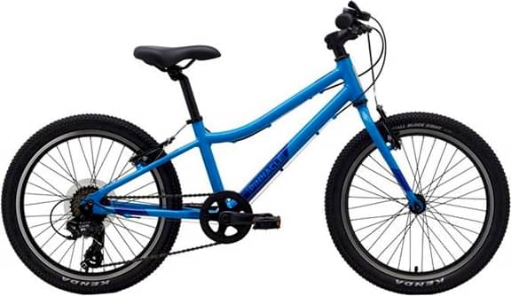 Pinnacle Ash 20 Inch Kids Bike