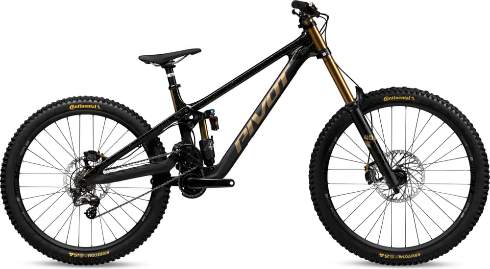 Pivot PHOENIX 29 Race Zee 2024 — Price & Specs | 2BX