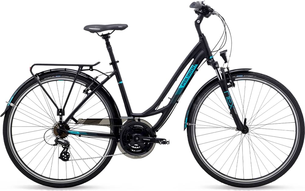 Polygon SIERRA DS LADY
