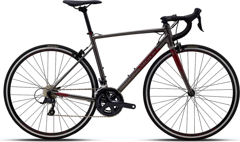 2023 Polygon STRATTOS S3 Specs Comparisons Reviews 99 Spokes