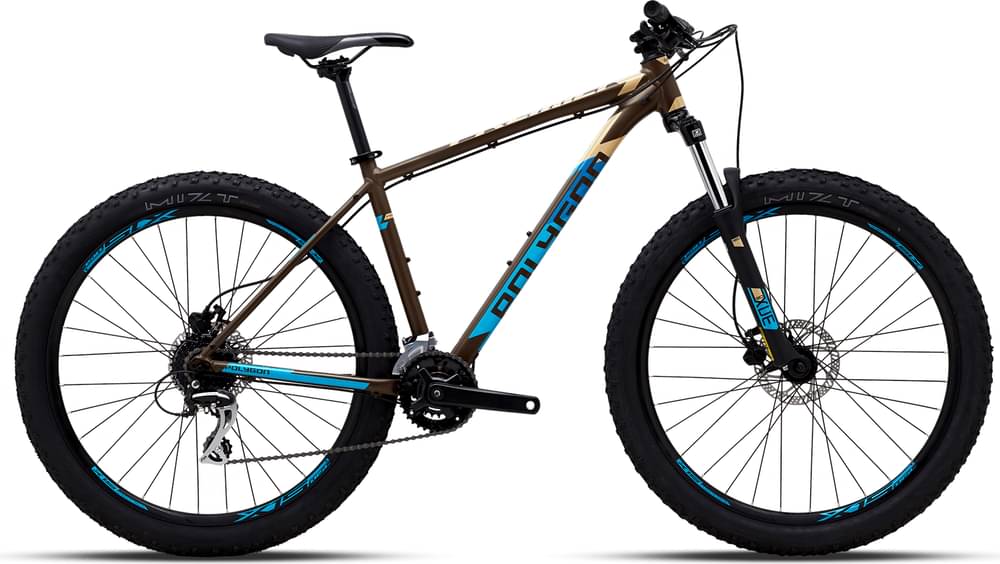 Polygon PREMIER 4