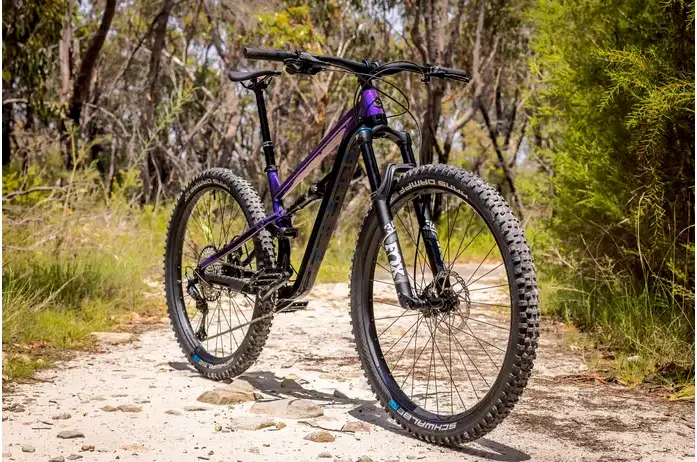 polygon t8