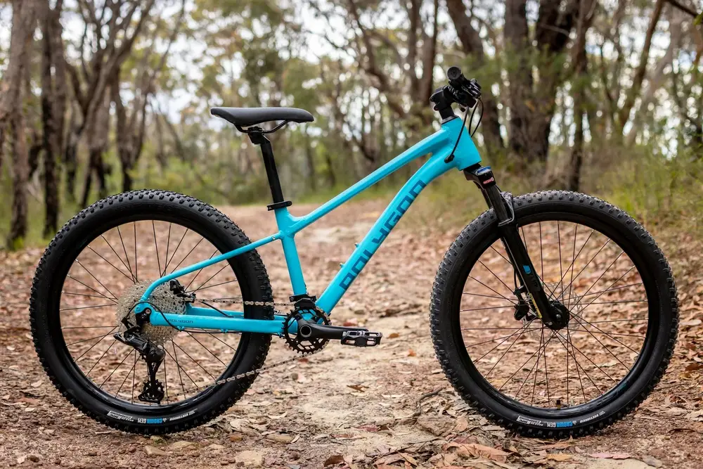 2024 Polygon Xtrada 24 – Specs, Comparisons, Reviews – 99 Spokes