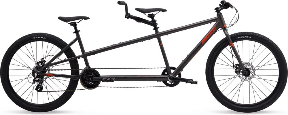 2025 Polygon IMPRESSION AX DISC – Specs, Comparisons, Reviews – 99 Spokes