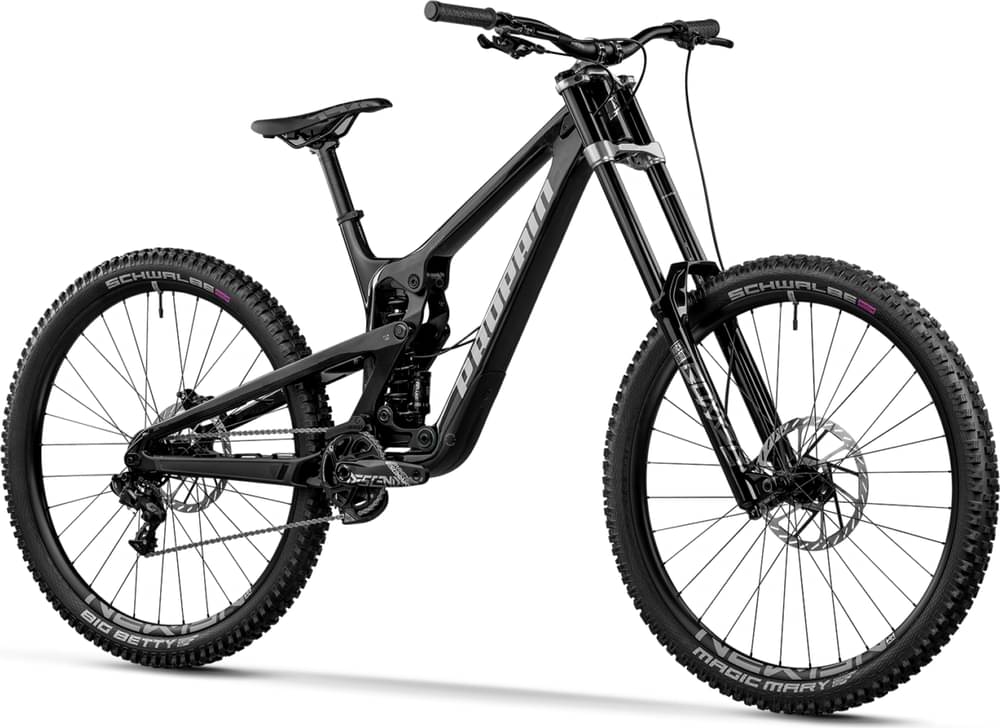 Propain Rage 3 CF 29 Start