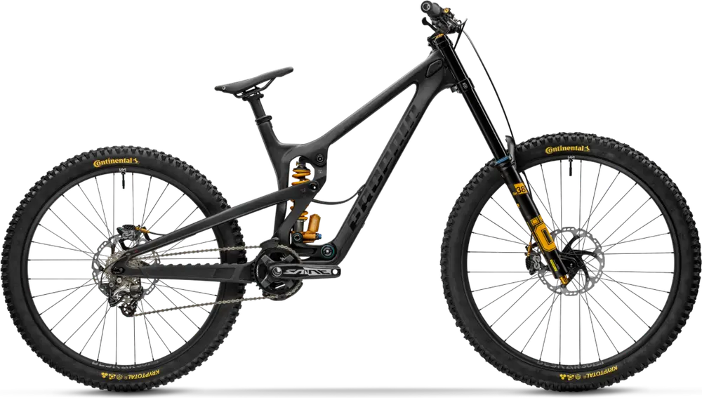 2025 Propain RAGE 3 R CF 29 Swedish Gold – Specs, Comparisons, Reviews ...