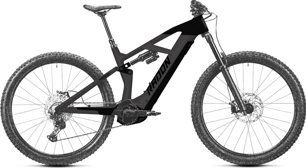 RADON RENDER 10.0 HD 750