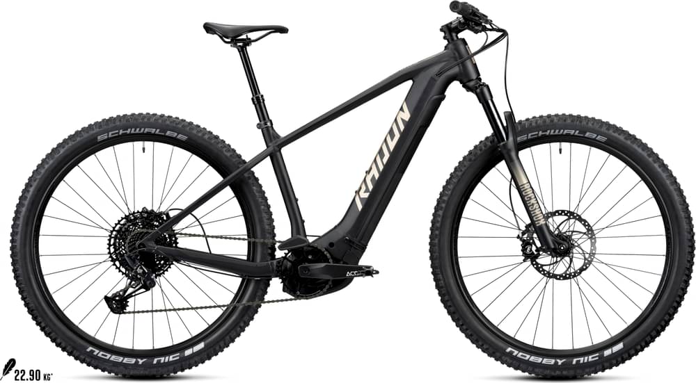 Radon JEALOUS HYBRID 9.0 625