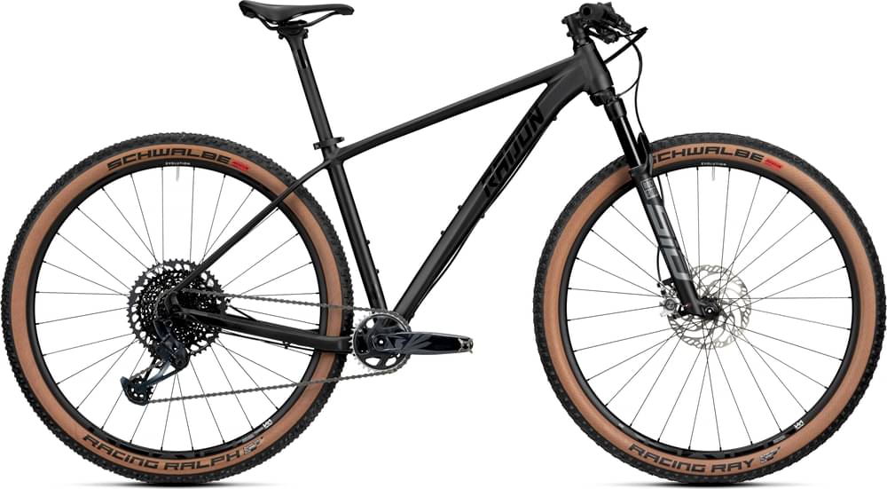 Radon JEALOUS AL 10.0 SL 2024