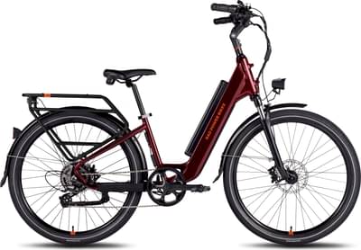 RADPOWERBIKES RadCity 5 Plus