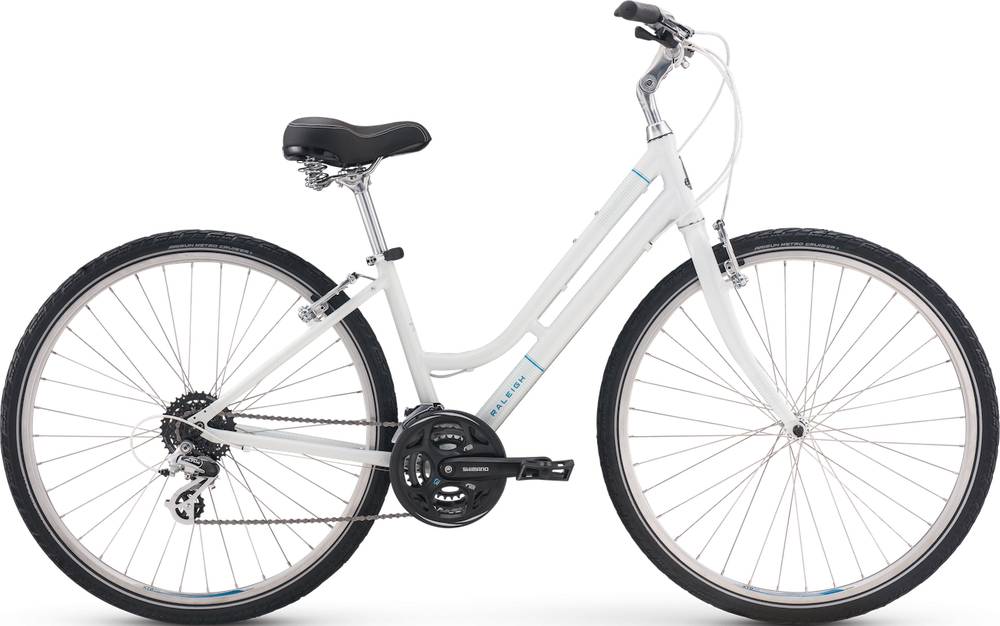 raleigh detour 2 step thru