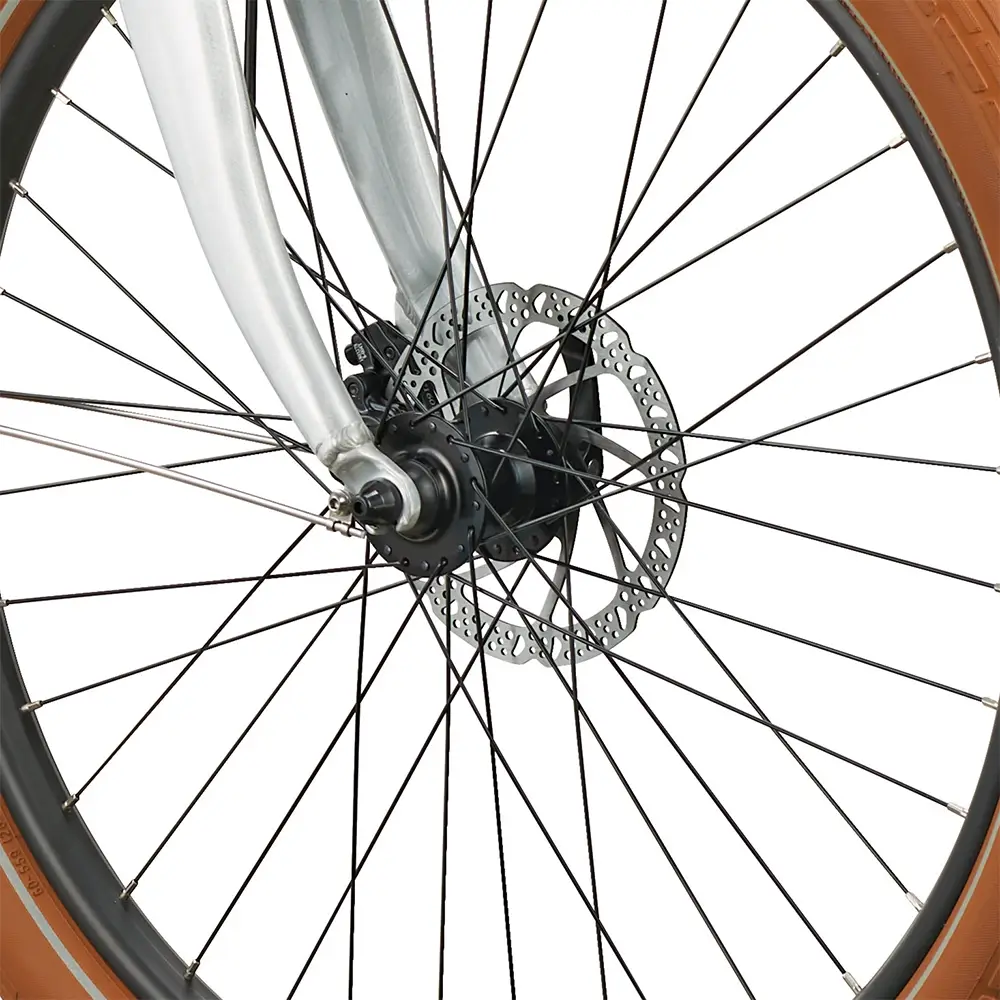 raleigh retroglide ie step thru