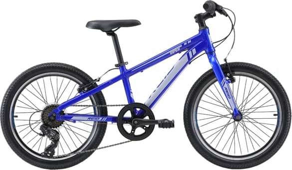 REID Viper 20" Kids Bike