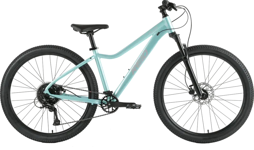 2026 REID MTB Elite Mountain Bike WSD – Specs, Comparisons, Reviews ...