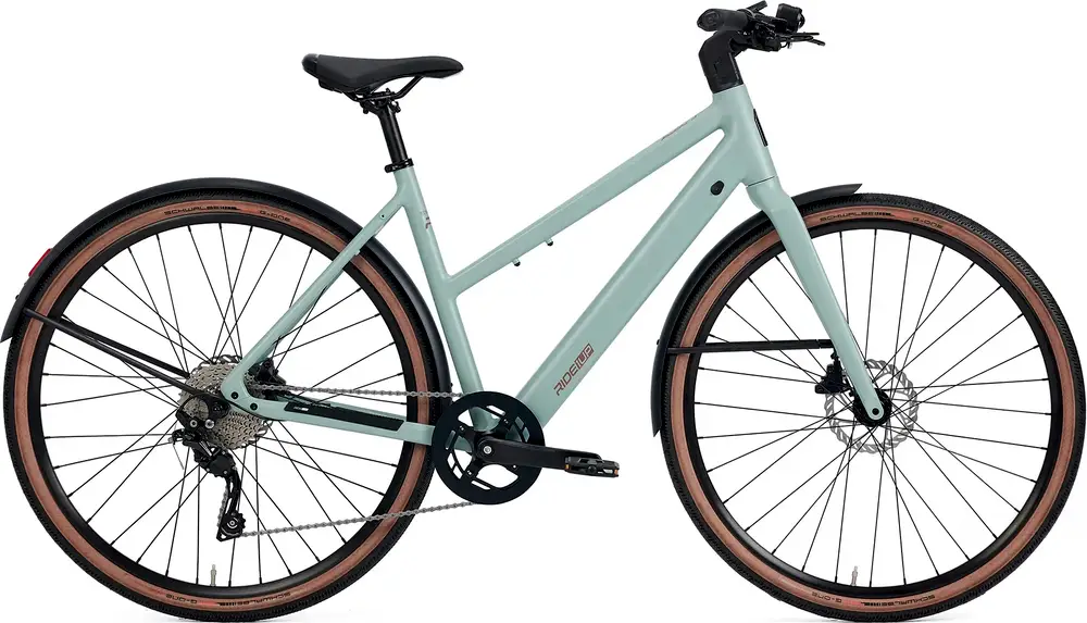 在庫処分セール LOW-STEP v3 Roadster Ride1UP 2024 – Comparisons Specs, その他