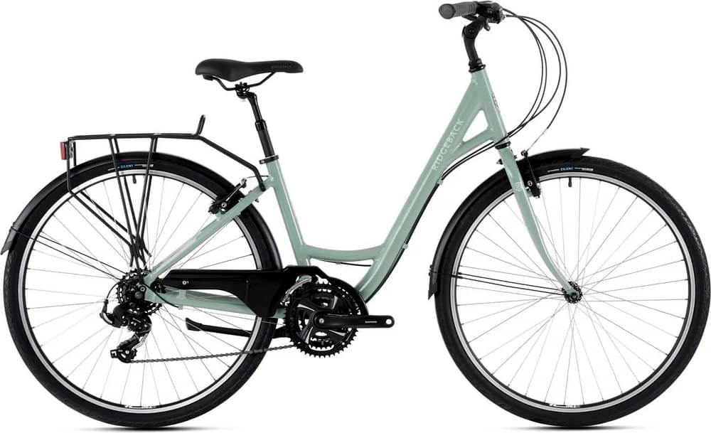 Ridgeback Avenida 21