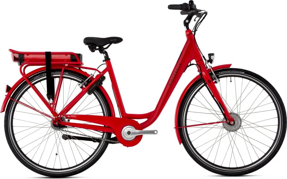 Ridgeback Electron Front Hub Drive