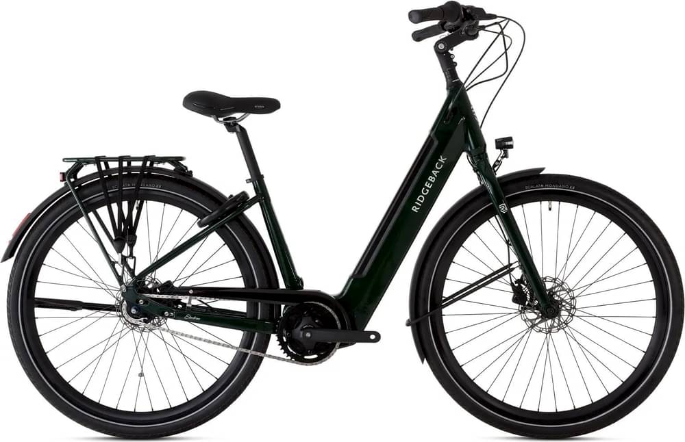 Ridgeback Electron INT
