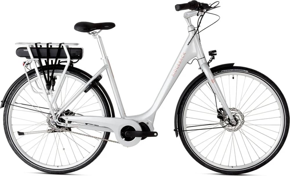 Ridgeback Electron S1