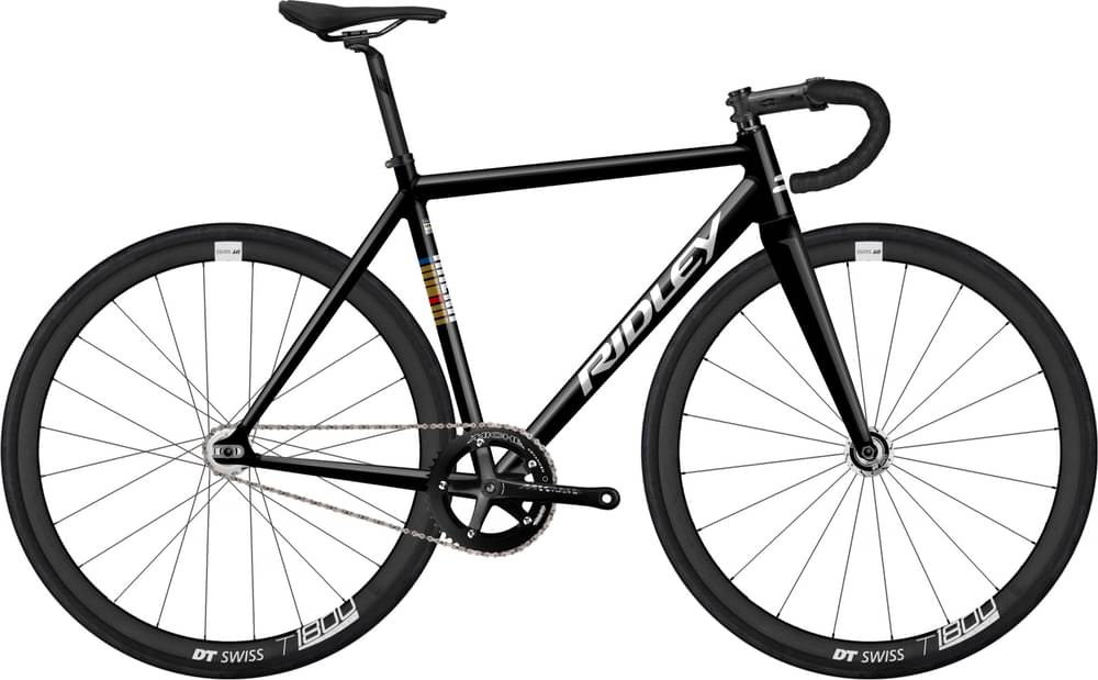 Ridley Arena A - Miche Pistard