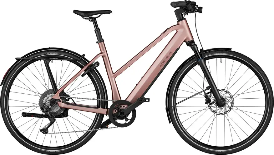 Riese & Müller UBN Seven touring