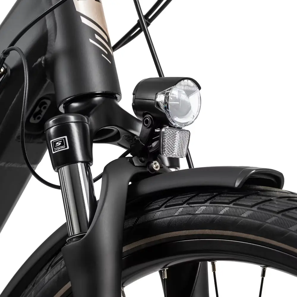 2025 RIVERSIDE Gebraucht - E-Bike City 28 Zoll EC900 City Nexus Bosch ...