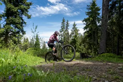 2025 Rockrider 29