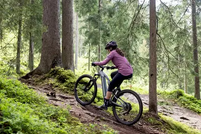 2025 Rockrider 29