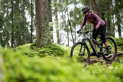 2025 Rockrider 29