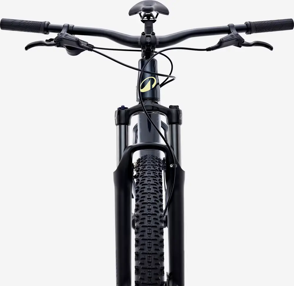 2025 Rockrider 29