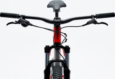 2025 Rockrider 29
