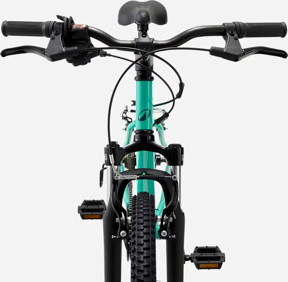 2025 Rockrider Mountainbike 24 Zoll Expl 500 Kinder grün – Specs ...