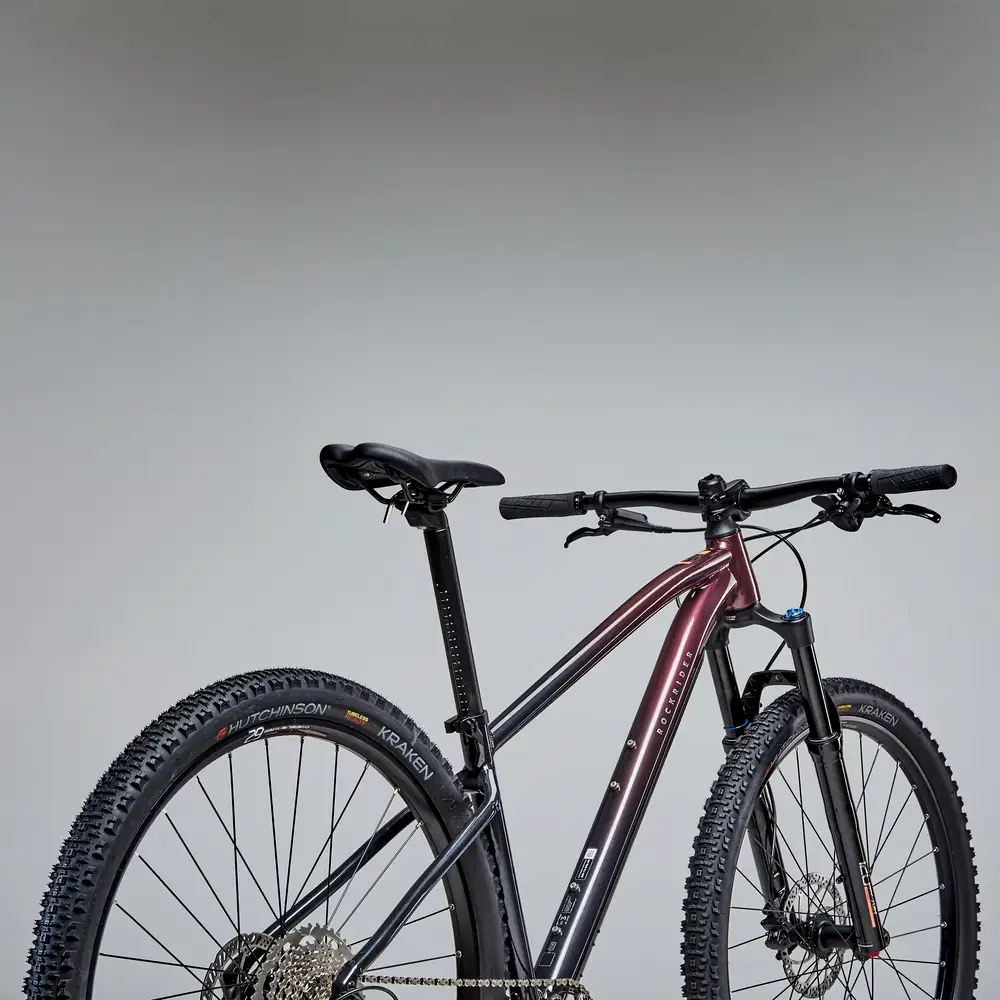 2025 Rockrider Mountainbike EXPL 540 29 Zoll lila/schwarz – Specs ...
