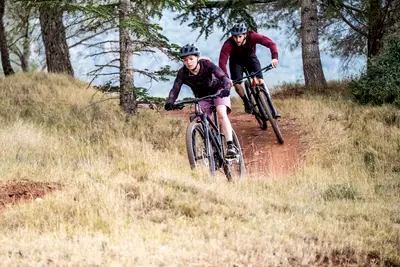2026 Rockrider 29 inch Touring Mountain Bike Explore 540 – Specs ...