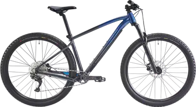 2026 Rockrider 29