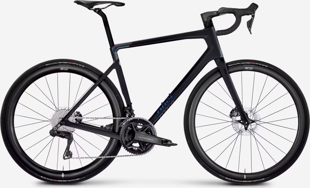 サンディ・ラム クラング・ローズ RCCA-2023 f12b7.jpeg