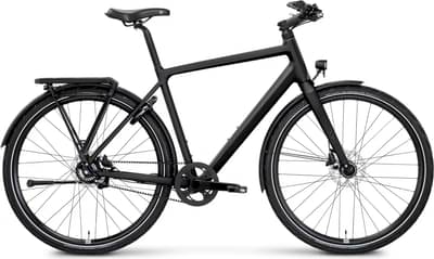 Rose Black Lava 2 2025