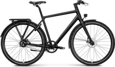 Rose Black Lava 3 2025
