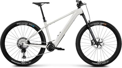 Rose Bonero Plus 2