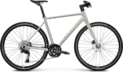 Rose Sneak 1 2025