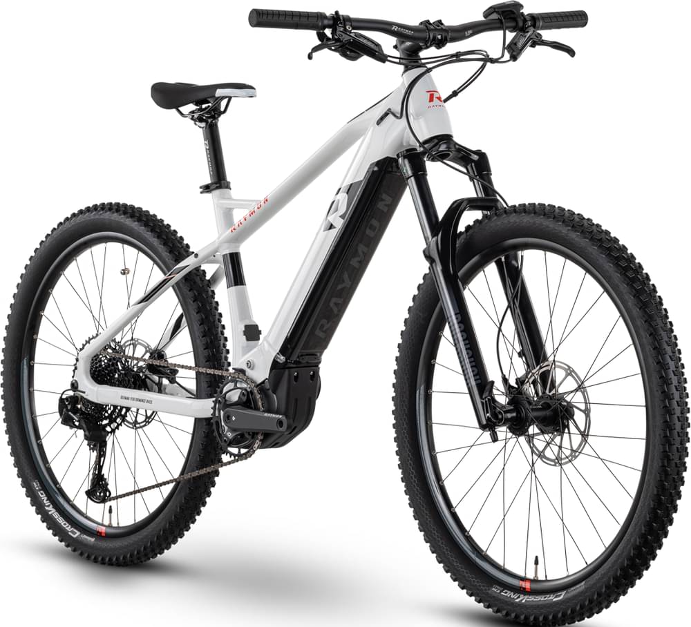 raymon emtb