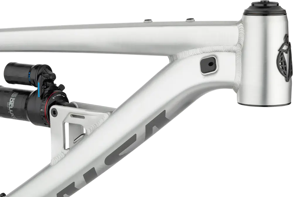 Salsa Cassidy Frame - Brushed Aluminum Large