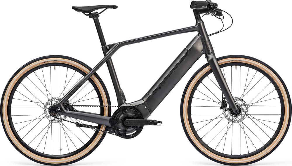 Schindelhauer Oskar 2022
